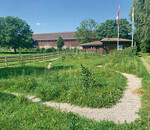 Schau- und Lehrbienenstand von Bienen Schweiz: Hier kann das emsige Treiben der Honigbienen ungestört und sicher vor Stichen bestaunt werden und lassen sich Einblicke in das Handwerk des Imkers sowie das Leben der Bienen gewinnen.