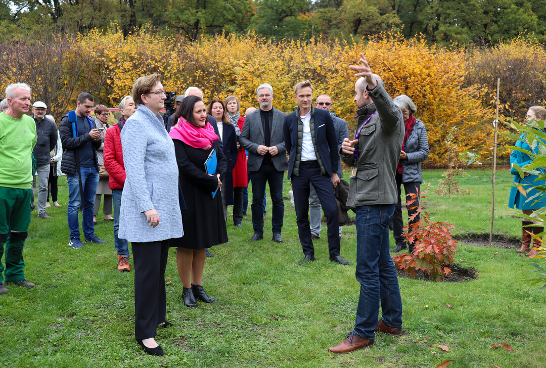 Christoph Haase (rechts), Projektleiter der Branitzer Baumuniversitt (SFPM), erlutert Bundesministerin Klara Geywitz (links) und Brandenburgs Kulturministerin Dr. Manja Schle (Mitte) die Gehlzaufzucht in der Historischen Baumuniversitt