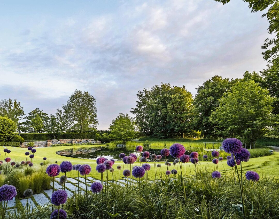 Im oberen Gartenbereich liegt der Seerosenteich wie eine Spiegelflche  die ovale Form ist eine Antwort auf das strenge Viereck des Innenhofes.