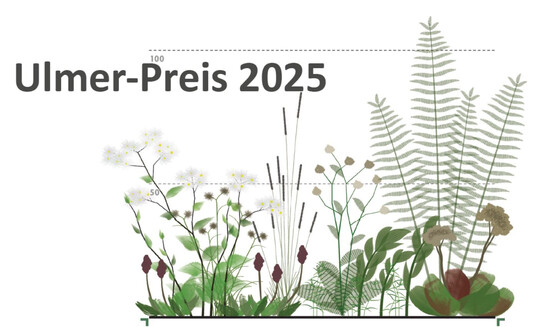 „Neuartige Pflanzengemeinschaften für Verdunstungsbeete“, Leonard R. Heß, Preisträger Ulmer-Preis 2023