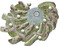 Le Tourbillon de la succession (Spirale der Sukzession)