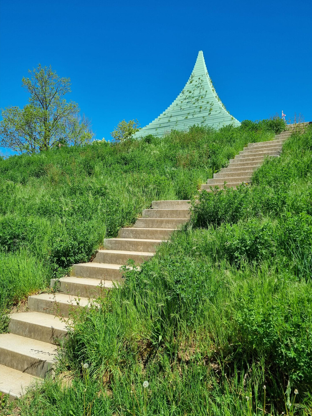 Auf dem Kirchberg: the living pyramid von Agnes Denes
