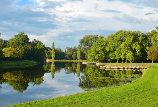 Blick über die Seen und die Roseninsel im Gartenreich Dessau-Wörlitz