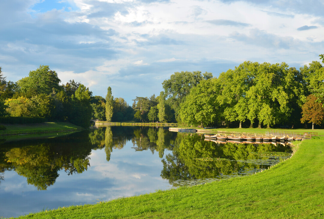 Blick �ber die Seen und die Roseninsel im Gartenreich Dessau-W�rlitz 