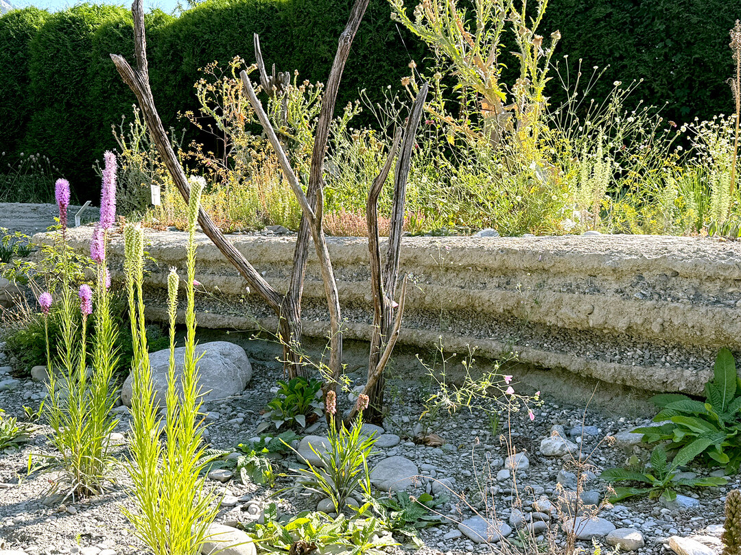 Ausschnitt aus dem Klimagarten im Gartenatelier Domat/Ems