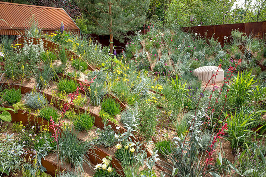 Hospital Field Arts Garden Chelsea 2205
