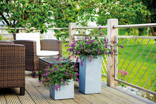 Summerlounge verschnert jede Terrasse. 