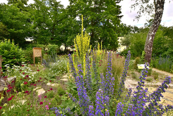 Preistrgerin des European Award for Ecological Gardening 2023: Erster Berliner PikoPark