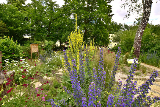 Preisträgerin des „European Award for Ecological Gardening 2023“: Erster Berliner PikoPark