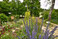 Preistrgerin des European Award for Ecological Gardening 2023: Erster Berliner PikoPark