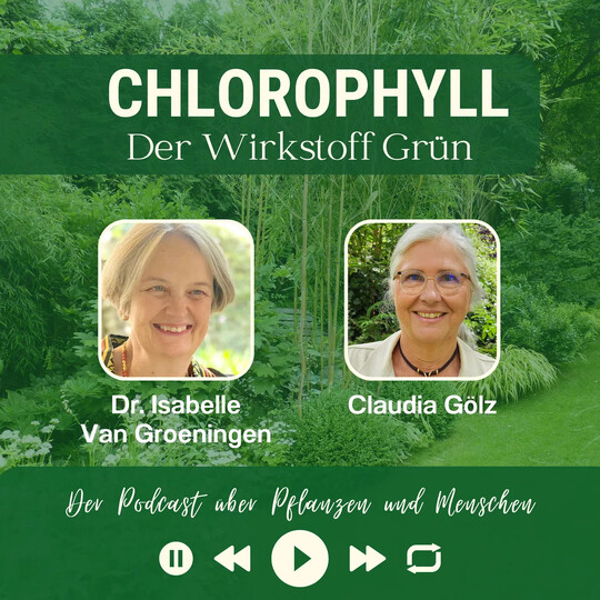 Podcast-Folge mit Isabelle van Groeningen
