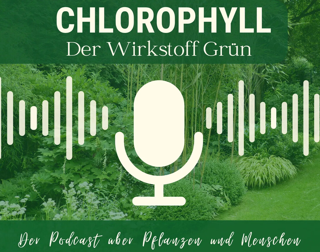 Immer wieder spannende Gste: Im Podcast Chlorophyll  der Wirkstoff Grn