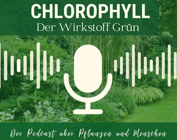 Immer wieder spannende Gste: Im Podcast Chlorophyll  der Wirkstoff Grn