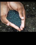 Wasserspeichergranulate und Bodenverbesserer optimieren den Wurzelraum. (Im Bild: Retentis)