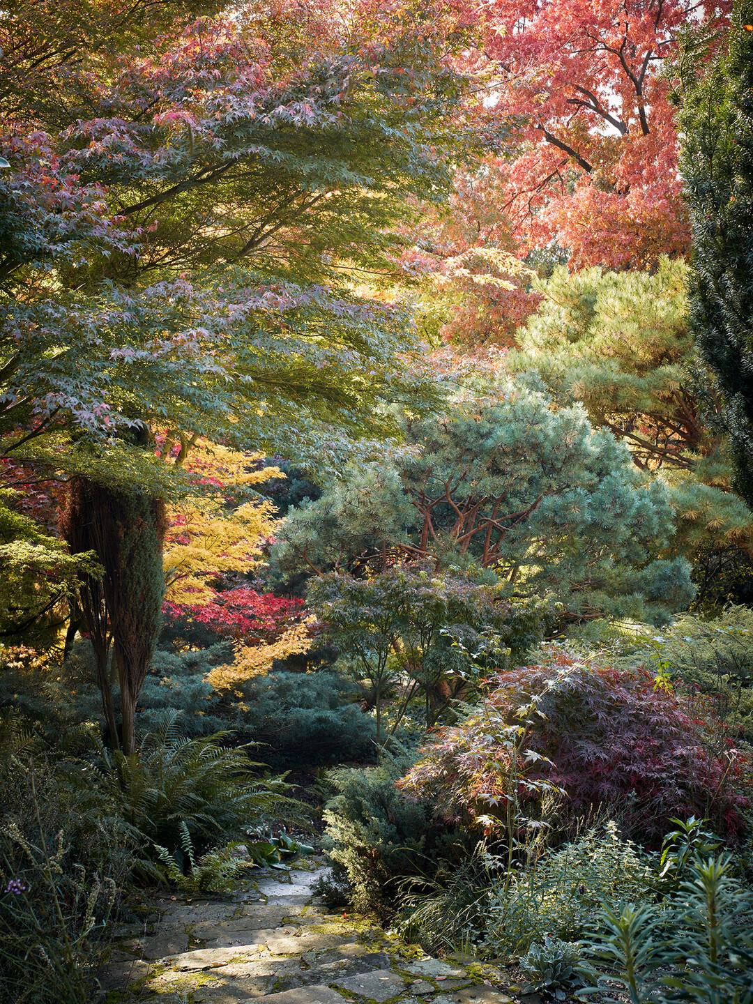 Der alte Park des Arboretums Härle