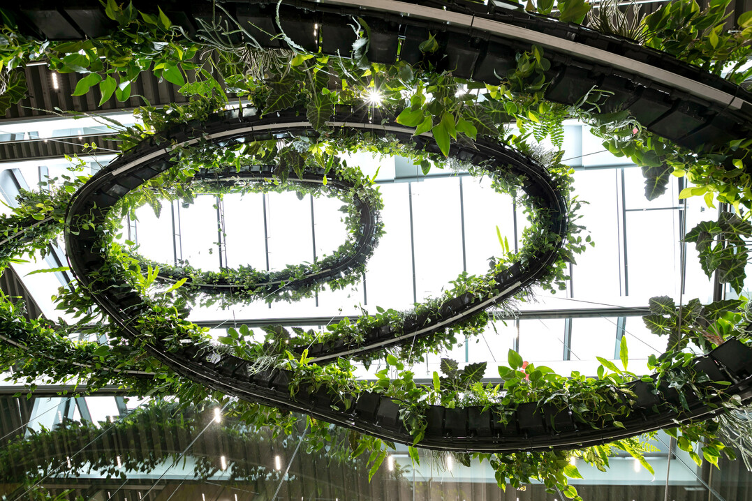 Die Vegetationsspirale windet sich über drei Etagen bis hinauf zu den Oberlichtern.