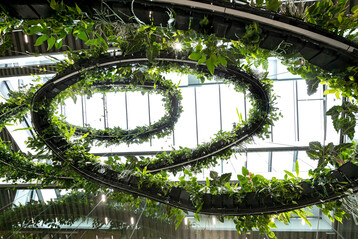 Die Vegetationsspirale windet sich ber drei Etagen bis hinauf zu den Oberlichtern.
