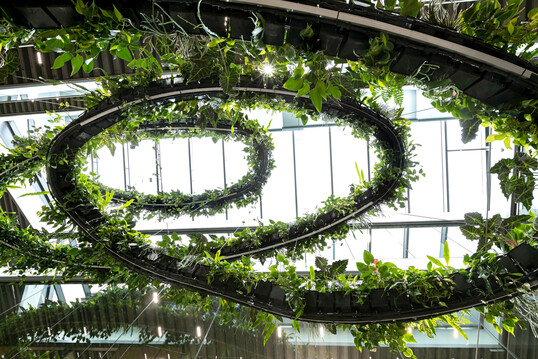 Die Vegetationsspirale windet sich über drei Etagen bis hinauf zu den Oberlichtern.