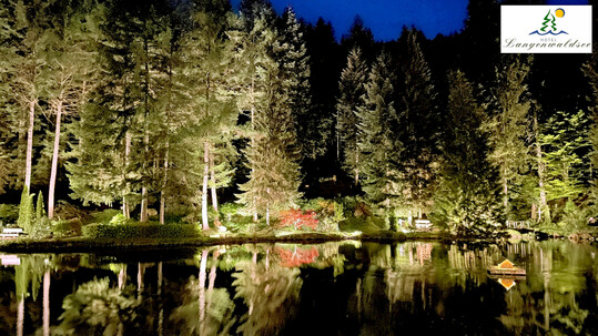 Waldbeleuchtung von Seliger am Hotel Langenwaldsee im Schwarzwald