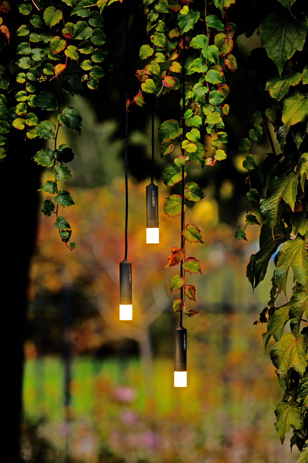 Rodas von Techmar Lightpro