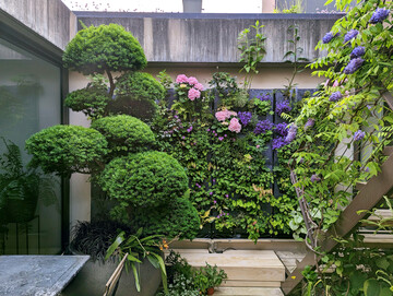 Pflanzenwände gehören zu den Schwerpunkten des Unternehmens.