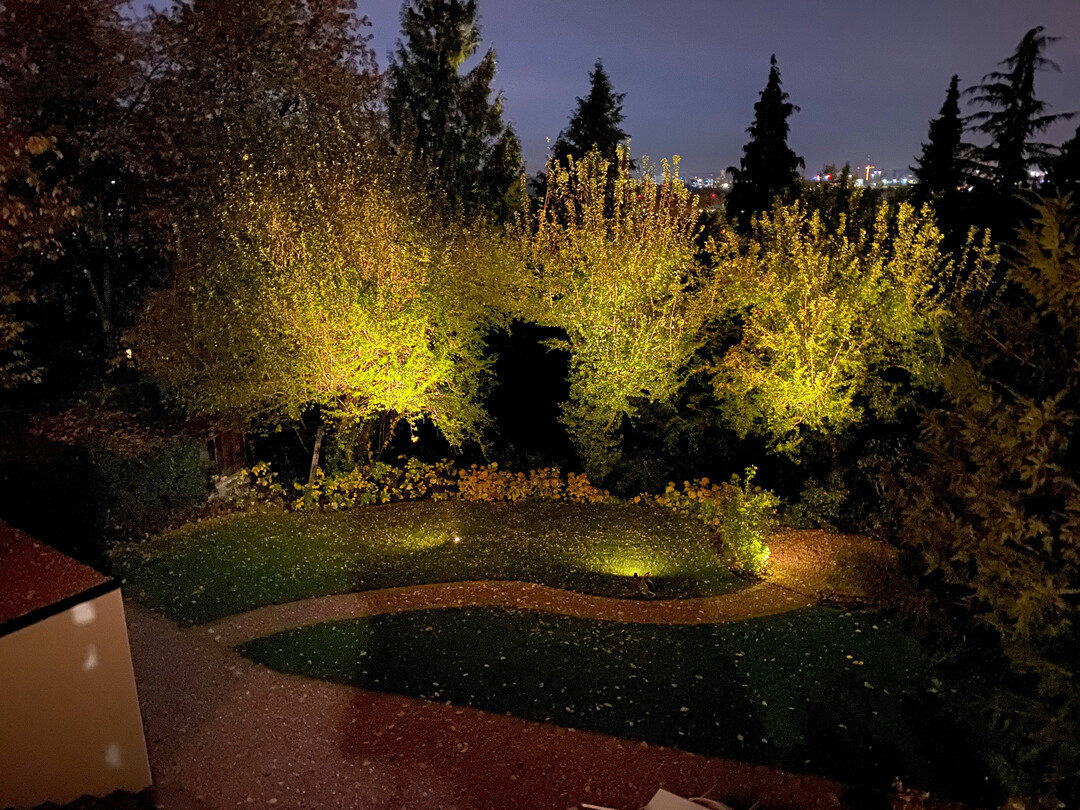 Die Baumkronen reflektieren in den Sommermonaten gen�gend Licht, um diesen Gartenraum bei Bedarf in einen idealen Raum f�r Gartenfeste zu verwandeln.