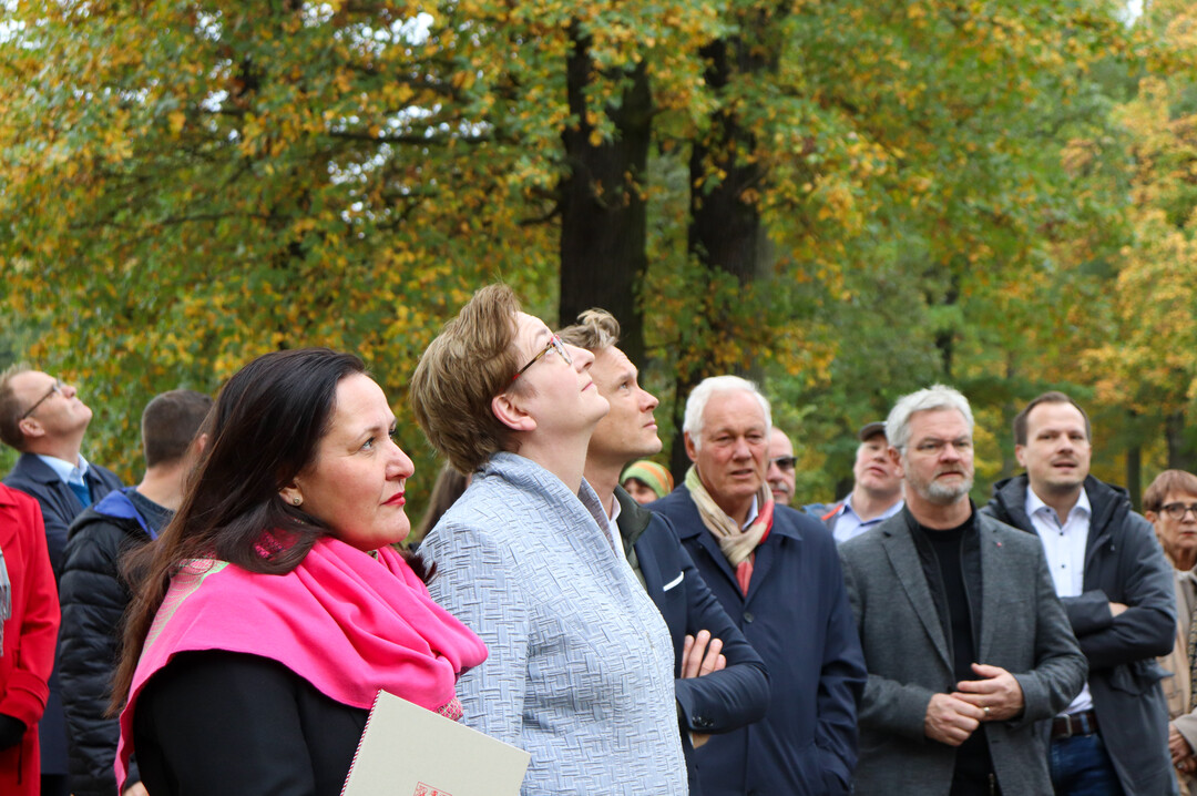 Dr. Manja Schle, Klara Geywitz, Dr. Stefan Krner, Vorstand der Stiftung Frst-Pckler-Museum, Uli Freese (ehemaliger Bundestagsabgeordneter) und Gunnar Kurth (Stadtverordneter SPD) (v.l.n.r.) betrachten in der Pckler-Allee im Branitzer Park Eichen, die durch den Eichenprachtkfer bereits Schden aufweisen.