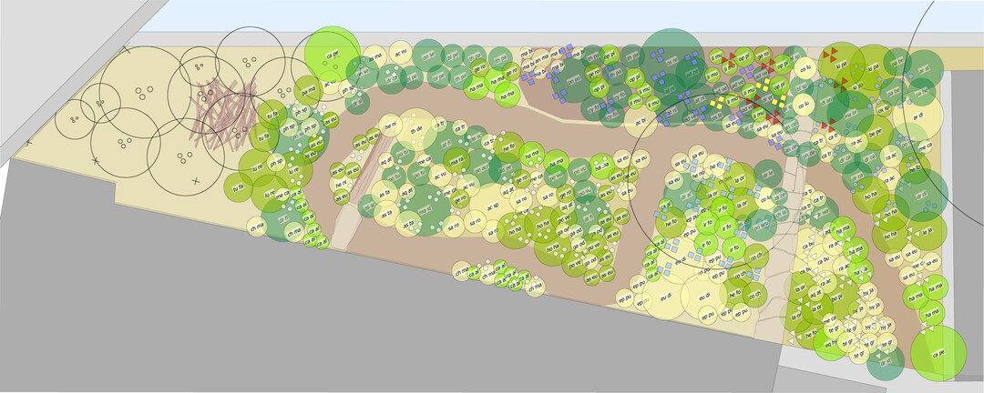 Der Pflanzplan gem�ss Umsetzung im Herbst 2024