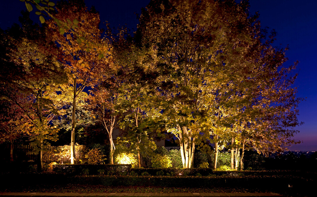 Durch leistungsstarke, hinter den gestaffelten Heckenb�ndern aufgestellte Bodenstrahler wird die Baumreihe an der Grundst�cksgrenze zu einer eindrucksvollen Kulisse.