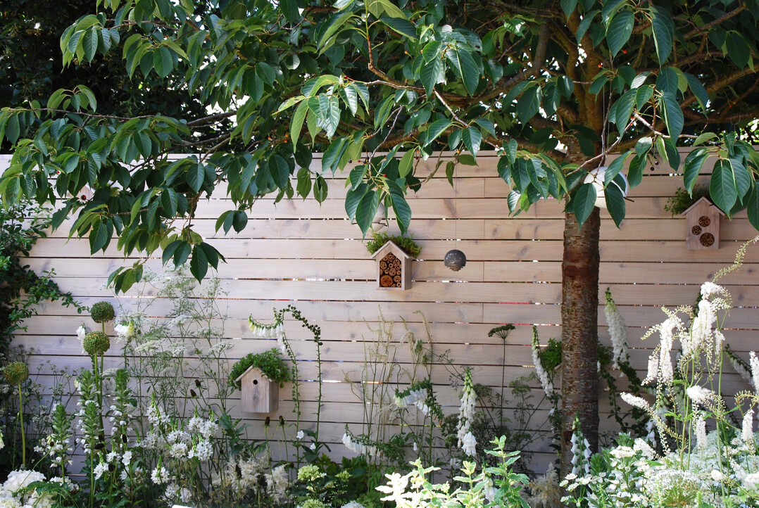 Die horizontale, helle Holzlattung bietet einen ruhigen und kontrastreichen Hintergrund für die Pflanzen.