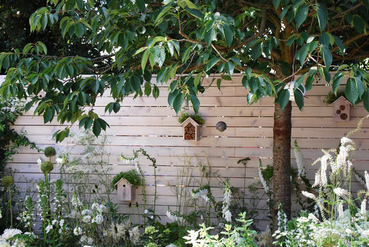 Die horizontale, helle Holzlattung bietet einen ruhigen und kontrastreichen Hintergrund f�r die Pflanzen.