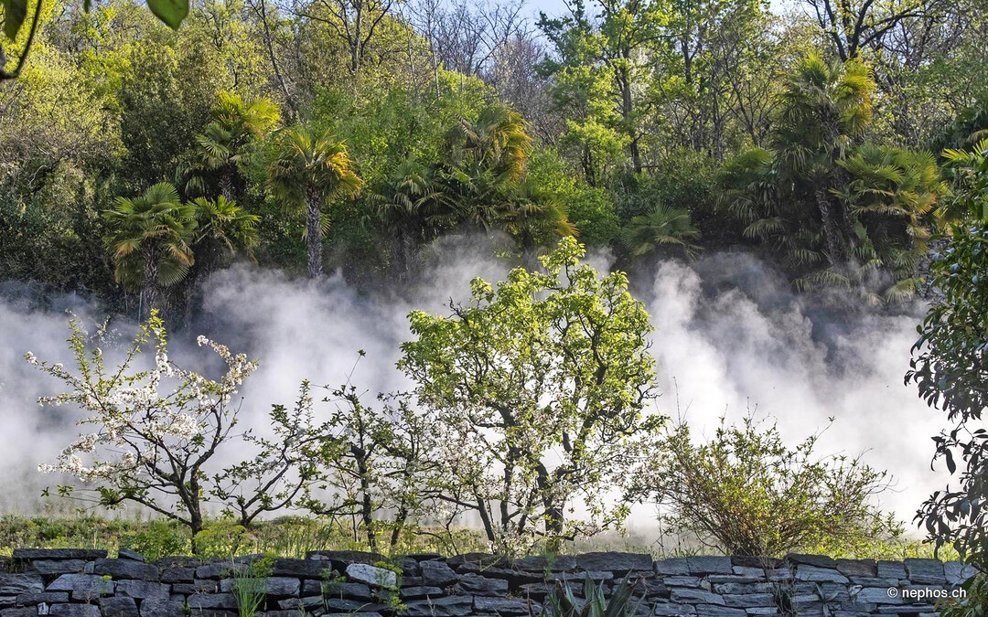 Nebelinstallation im Skulpturengarten der Fondazione Marguerite Arp in Locarno.
<b> </b>
Die Entwicklung der zerstäubenden Nephos-Düse hatte bereits 2011 begonnen und wurde immer weiter verbessert.
