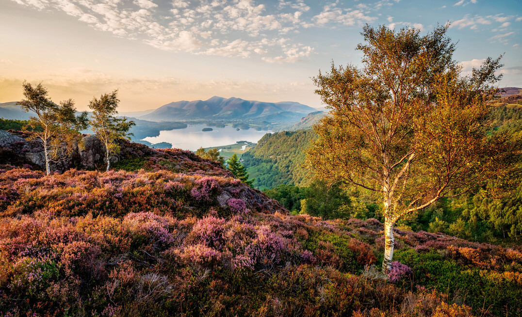 Mark Hetherington aus Cumbria (GB) holte mit seinem Bild „Grange Fell Last Light“ den begehrten Titel IGPOTY Gesamtsieger.