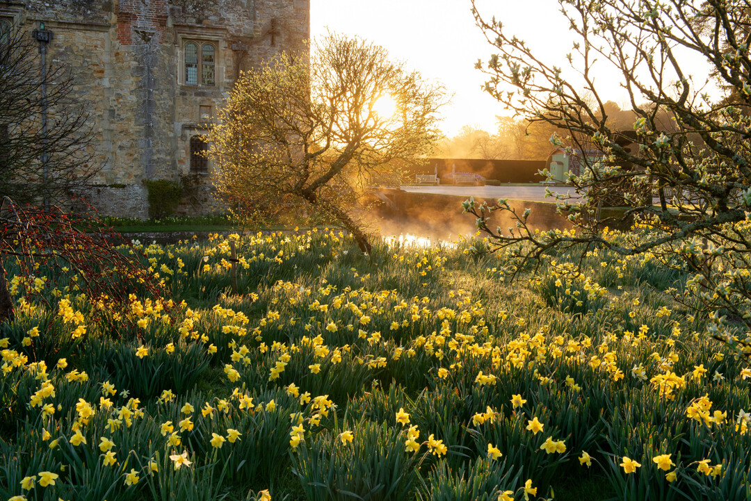 Bennet Smith erhielt den 2. Preis bei „Beautiful Gardens“.