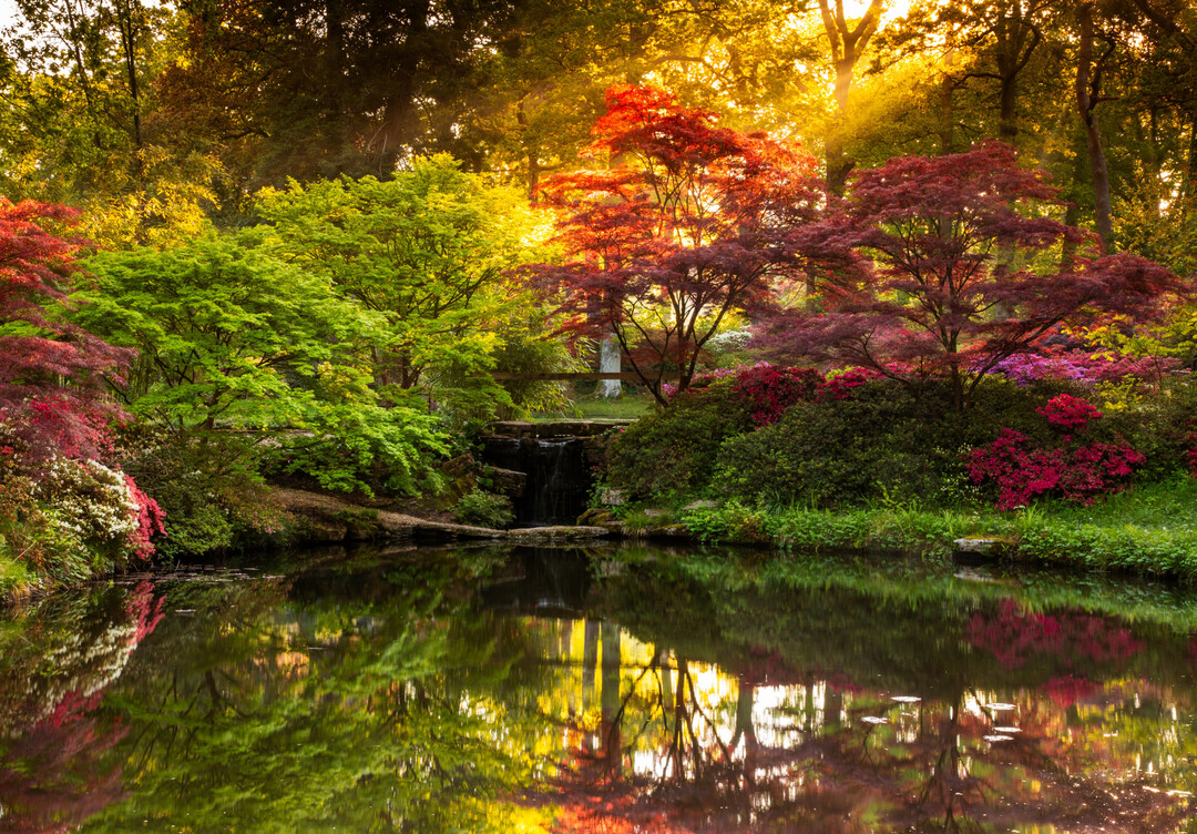 Stephen Studd erhielt den 1. Preis in der Kategorie „Beautiful Gardens“.