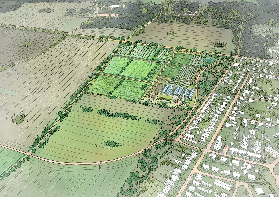 Vogelperspektive Die Neue Branitzer Baumuniversitt in Cottbus von Fugmann Janotta Partner Landschaftsplaner, Berlin