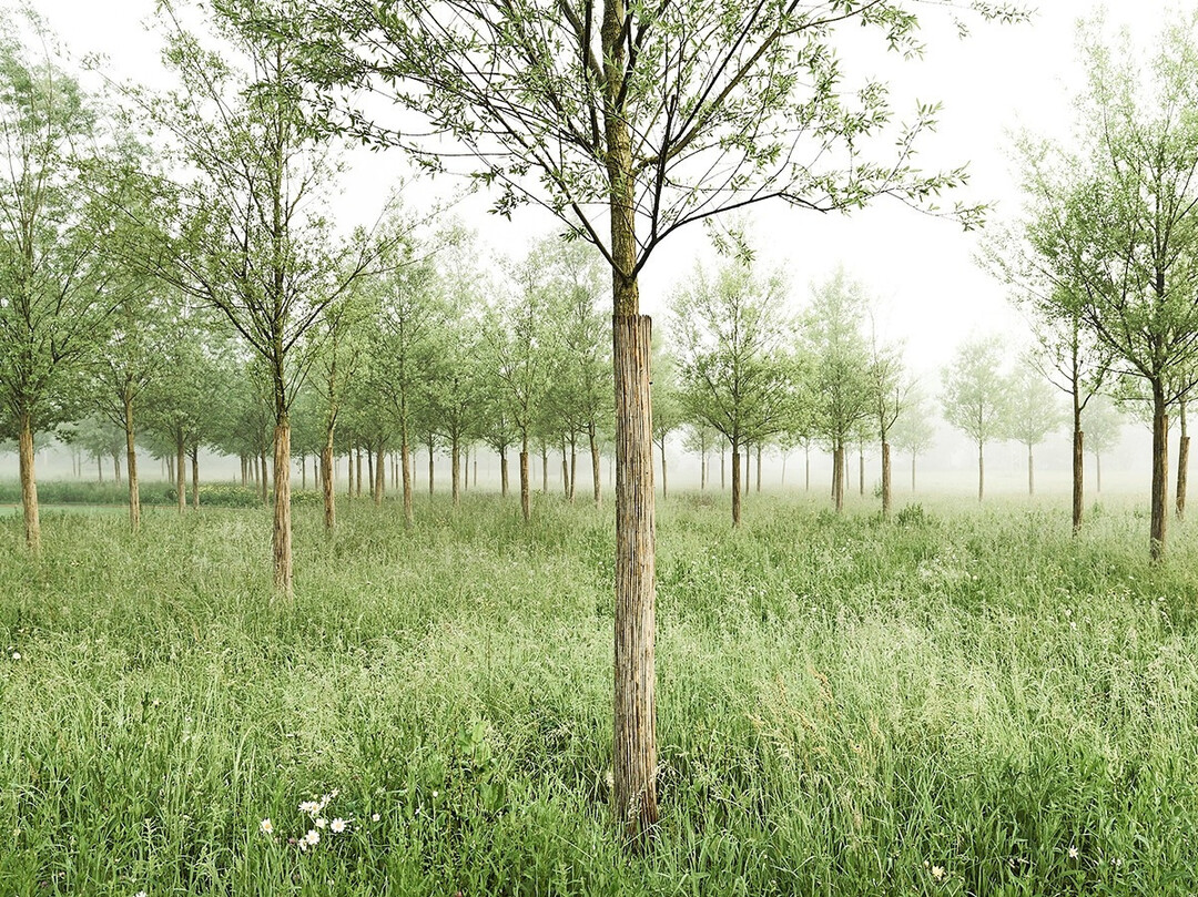 Ein Projekt von RMPSL Landschaftsarchitekt:innen: Der Talauenpark Waiblingen
