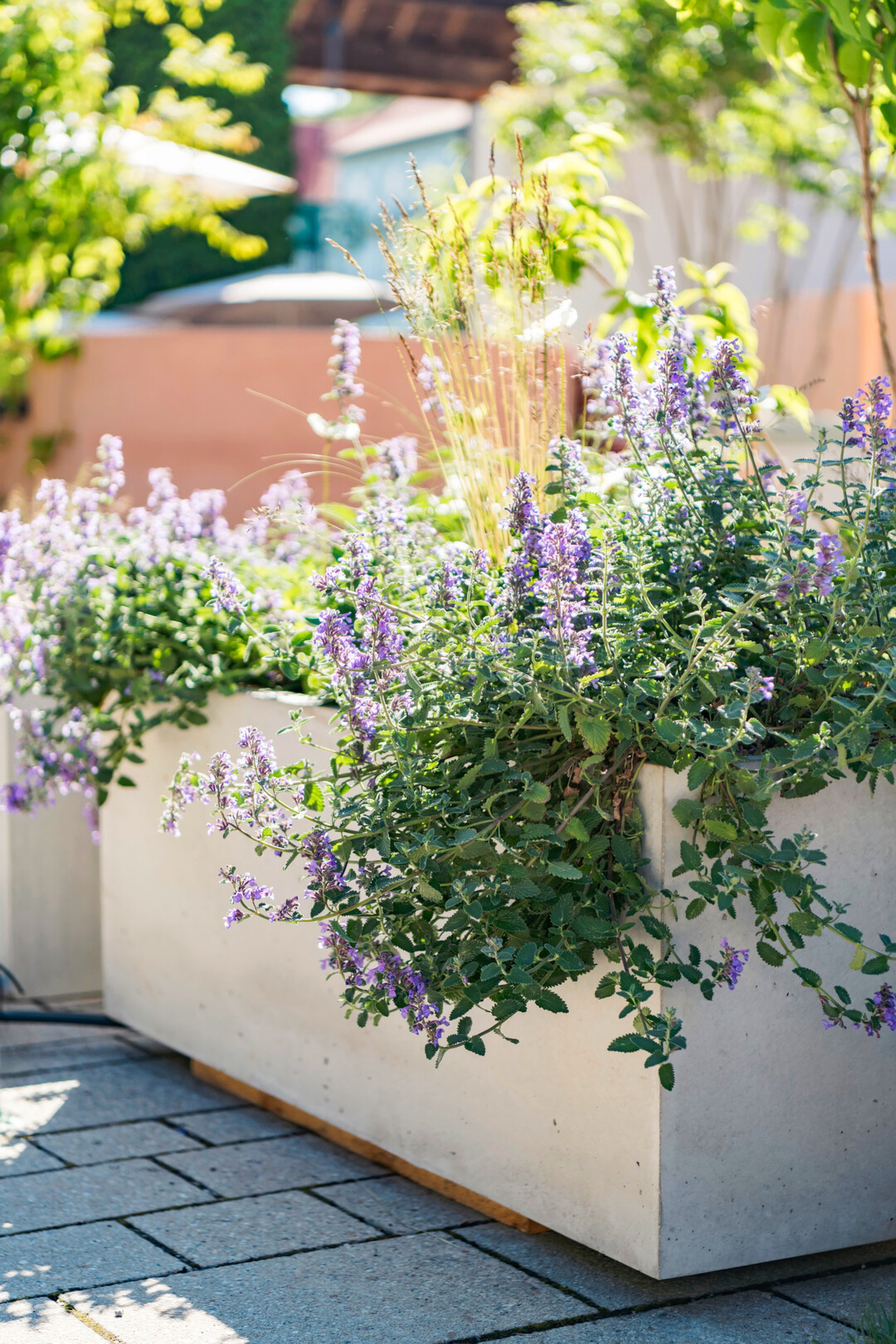 Gem�se-Hochbeet oder Staudenbeet