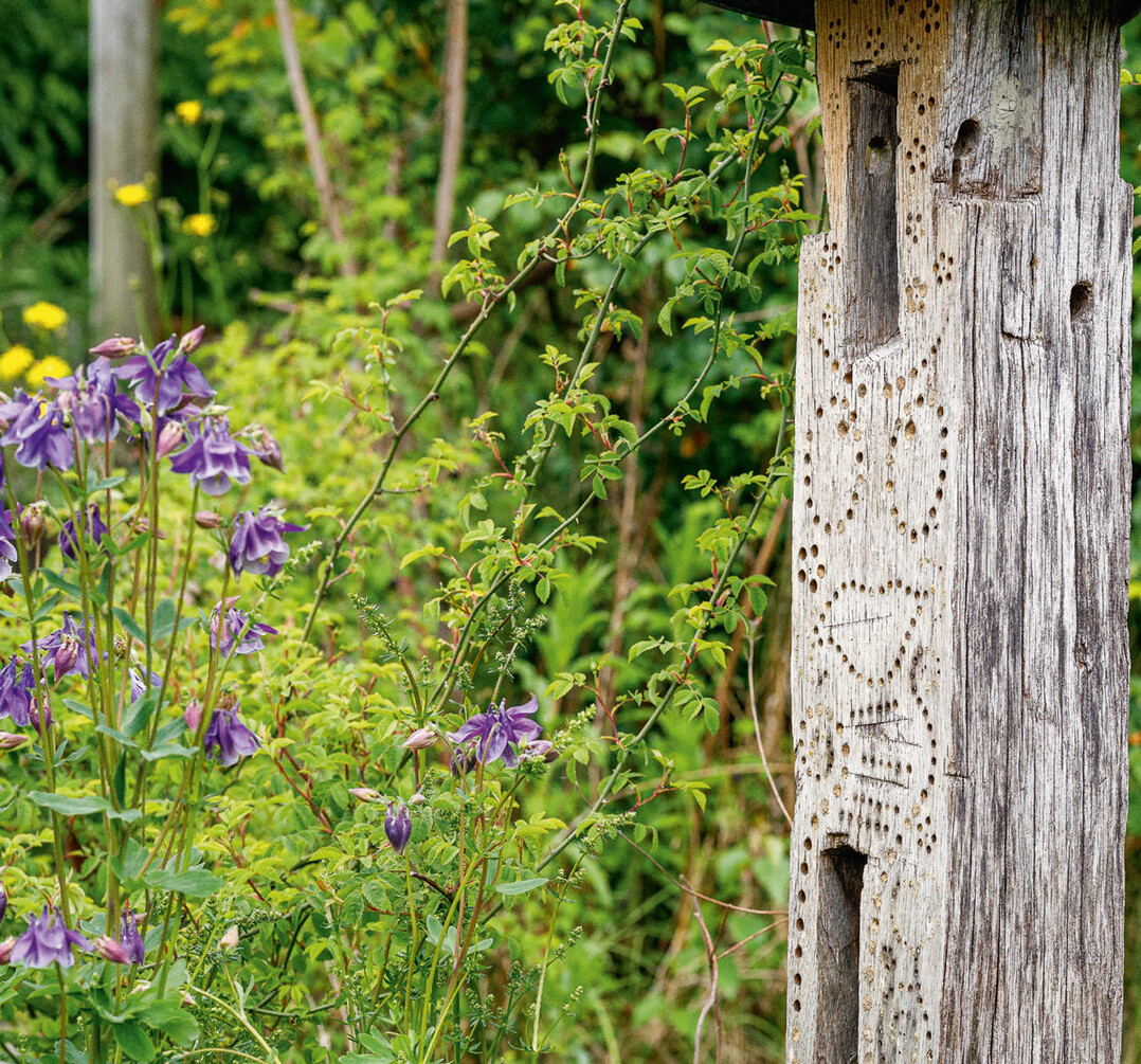 WILDBIENENHOTEL