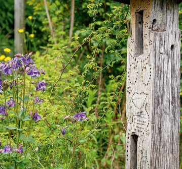 WILDBIENENHOTEL