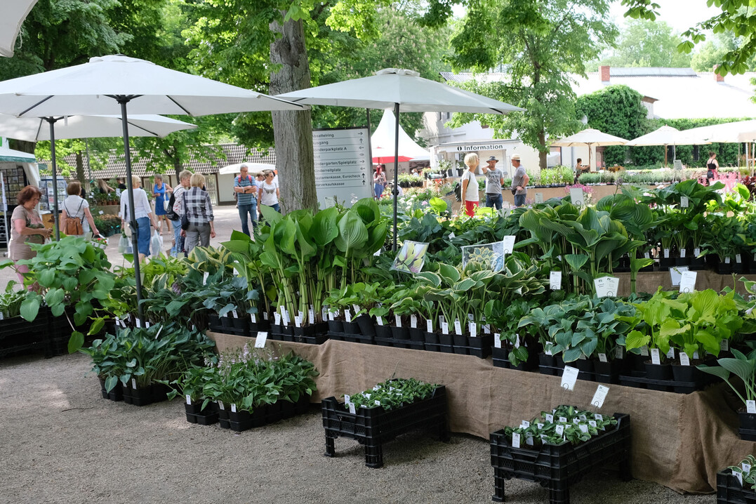 Vom 2. bis 4. Juni 2023 findet die Gartenmesse Gartentrume fr Berlin und Brandenburg statt.