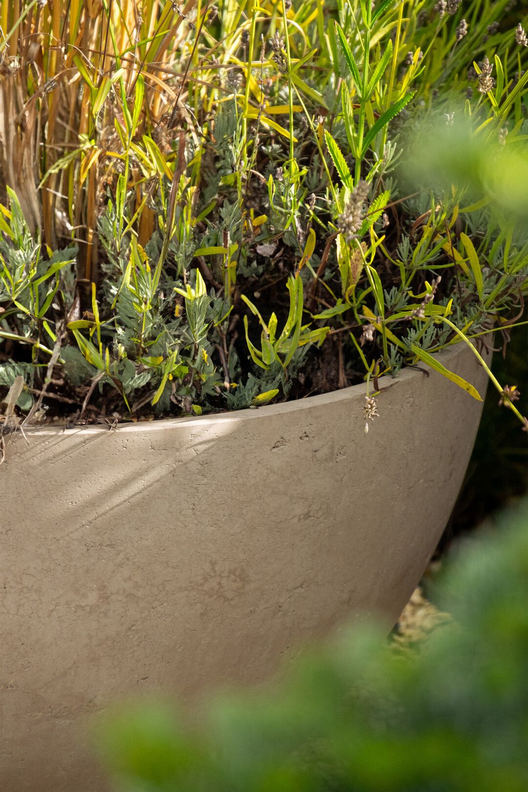 GDM.ARBO planter
