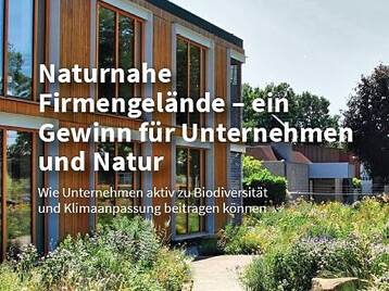 Neuer Flyer zu naturnahen Firmengelnden
