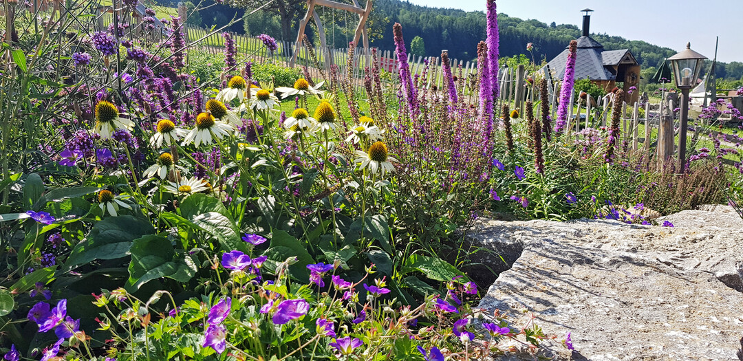 Gartenprojekt des Jahres 2024:  Traufganghtte Brunnental. Staudenbeet mit Blick zur Grillhtte