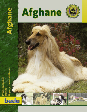 Afghane