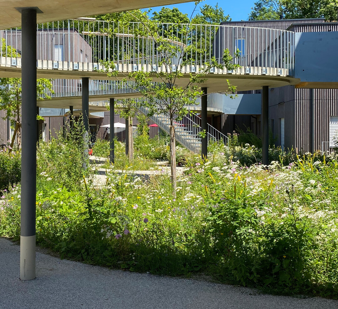 Kategorie Wohnumfeld:
Prinz-Eugen-Park, Mnchen. Entwurfsverfasser: liebald+ + aufermann landschaftsarchitekten und stadtplaner PartGmbB
