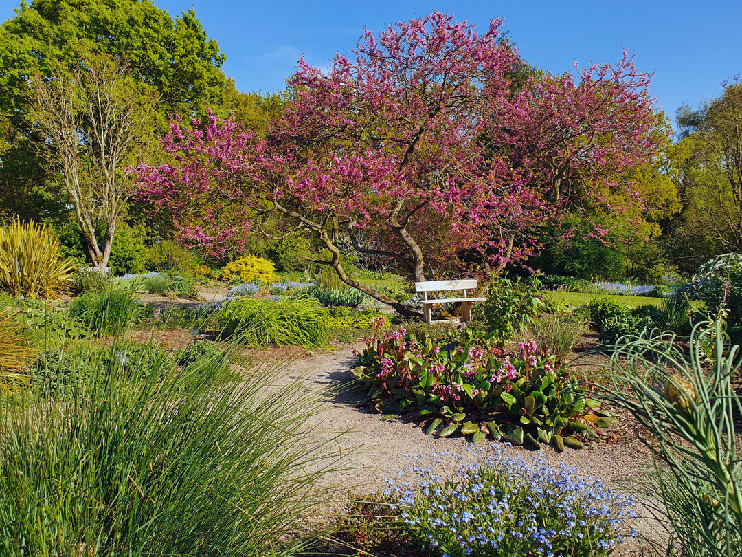 Beth Chatto"s Garden: 2. PreisKategorie Management oder Entwicklung eines historischen Parks oder Gartens