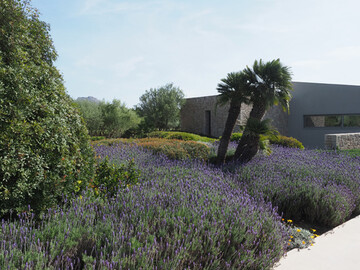 Wenige Pflanzen flchig verwendet - das ist ein Markenzeichen von Jardins de Tramuntana.