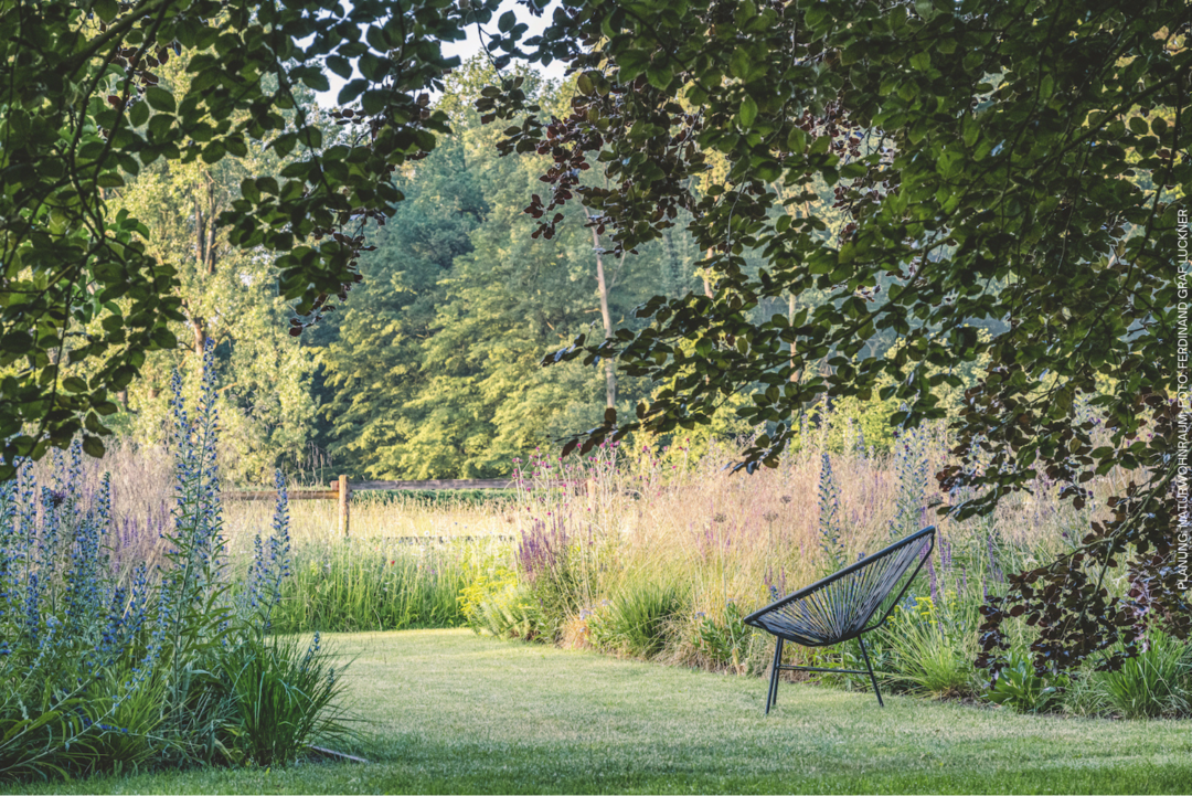 Ausschnitt vom Sieger-Garten 2024 von Christina Schnelting, Naturwohnraum
