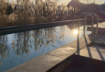 Projekt Garten mit Schwimmteich von GartenLandschaft Berg | 1. Platz Jurywertung Abendstimmung